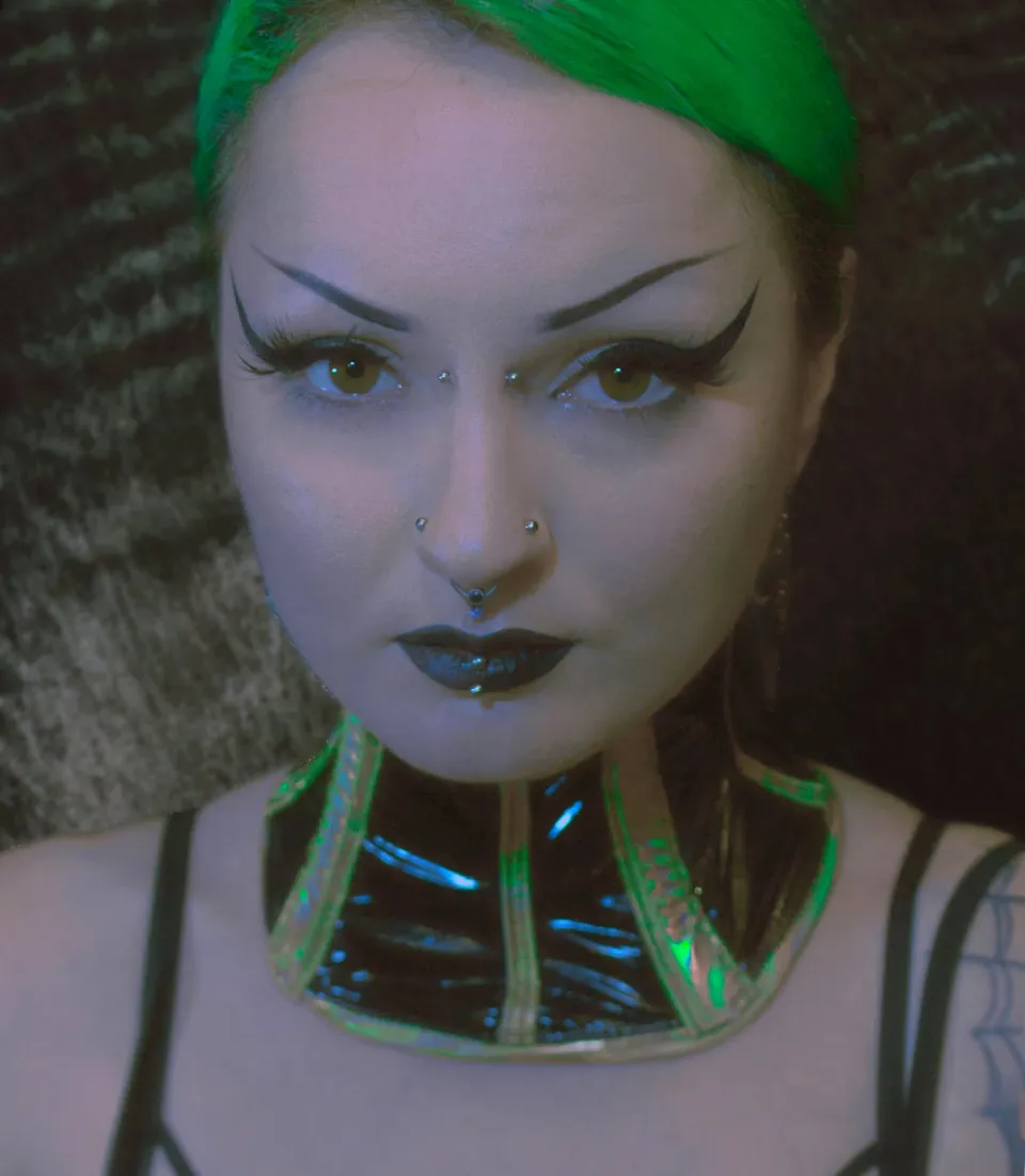 Ilina Poisonet