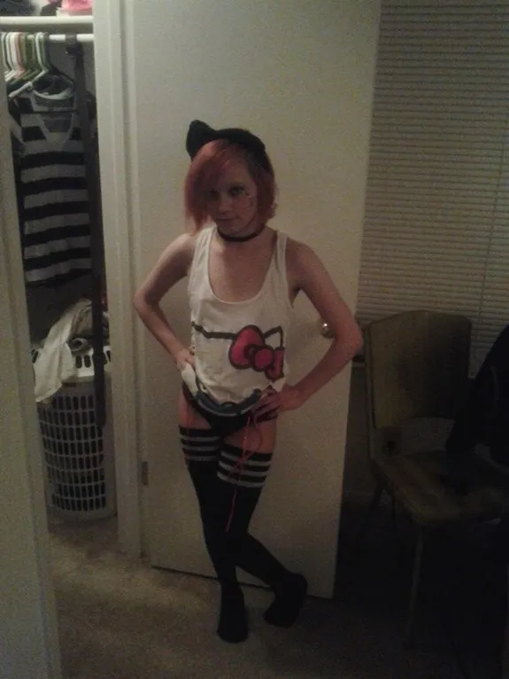 Ally The Cat