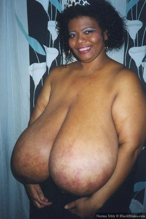 Norma Stitz