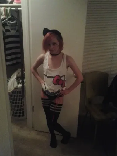 Ally The Cat
