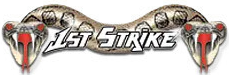 1st Strike
