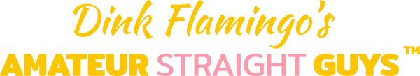 Amateur Straight Guys (Dink Flamingo)