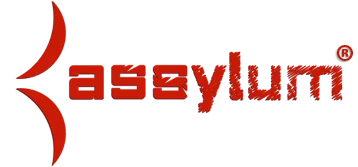 Assylum