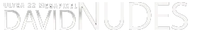 David Nudes