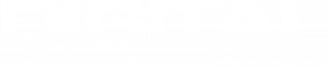 Digital Video Vision