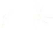 Femanic