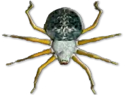 Insex (1997-2005)