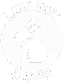 LittleBunnyB
