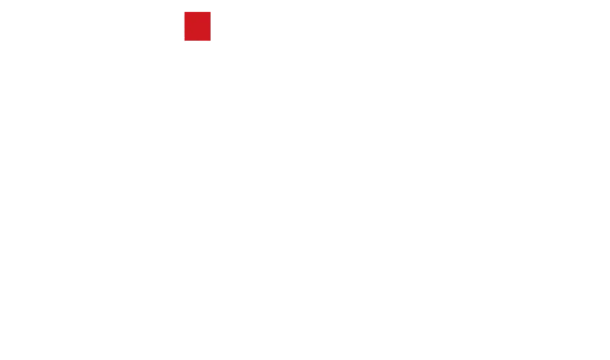 Litu100