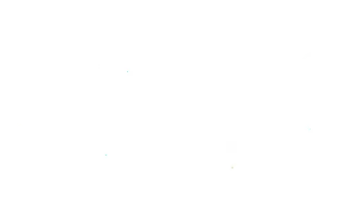 Luna Lark