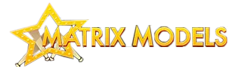 Matrix Models