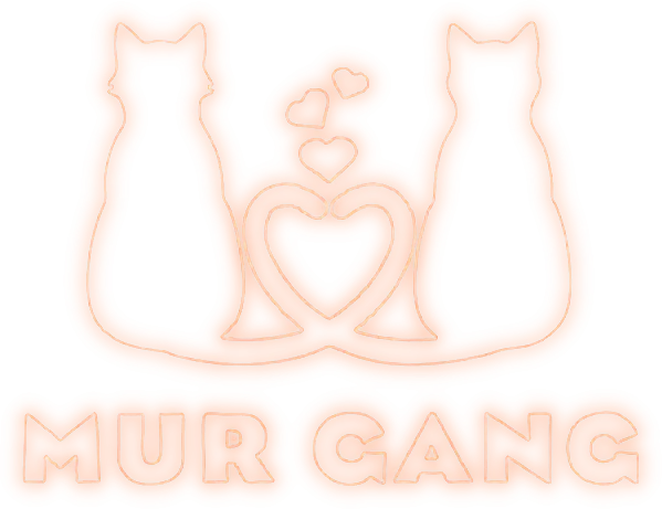 Mur Gang