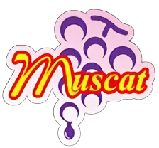 Muscat