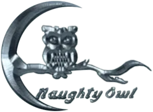 Naughty Owl Studios