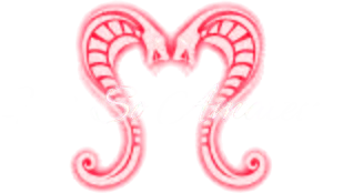 NotSoAmateur