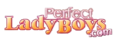 Perfect Ladyboys