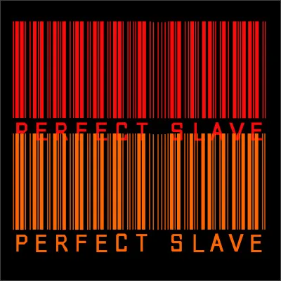 PerfectSlave