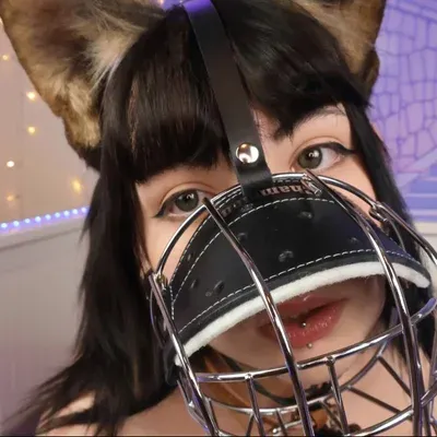 Pet Charlotte