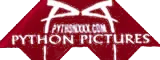 Python Pictures