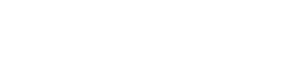 Raging Stallion Studios