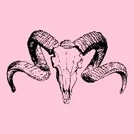 Reese the Ram