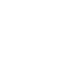 Savanna Star's Playground