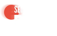 Security Cams Fuck