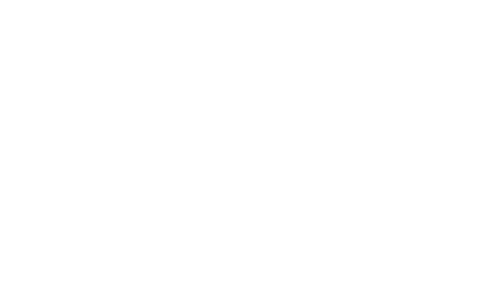 Shadow Dimitri