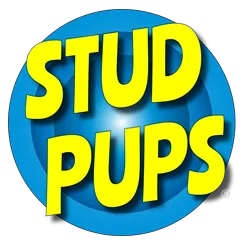 Stud Pups