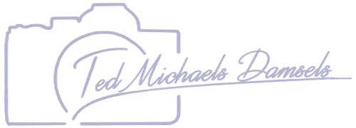 Ted Michaels Damsels