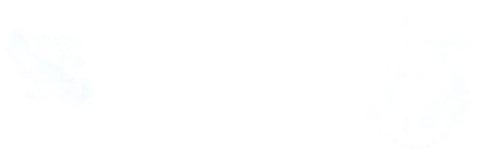 The Texas Hound