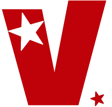 Vi
