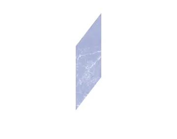 ZIZ